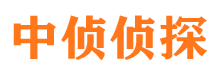 昌江县调查公司